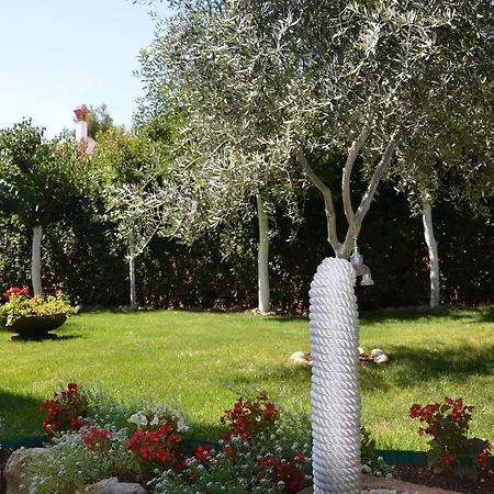 Konukevi & Petra Diklo