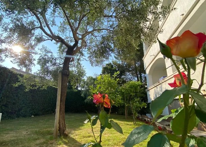 & Petra 게스트하우스 3*